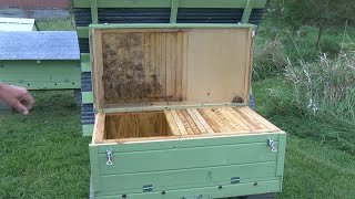 Endangered Bumble Bee concerns