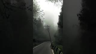 #Darjeelingtour#jungleride#viral