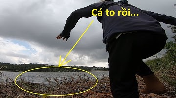 Pha lên cá ngoài dự tính - Câu lăng xê 2 lưỡi và boilies và cái kết | 14-11-2025