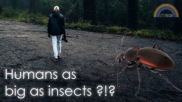 Why Insect-Sized Humans Wouldn