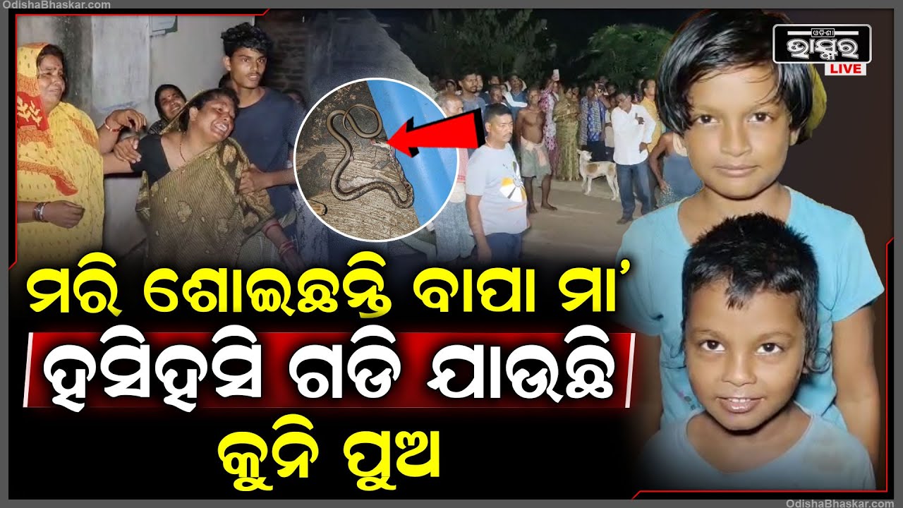 ଦାଣ୍ଡରେ ପଡିଛି ବାପା ମାଙ୍କ ଶବ, କୁରକୁରି ଖାଇ ହସି ହସି ଗଡି ଯାଉଛି ୩ ବର୍ଷର କୁନିପୁଅ