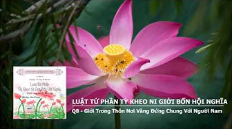 Q8 - Giới Trong Thôn Nơi Vắng Đứng Chung Với Người Nam 