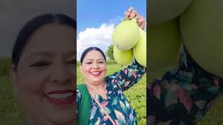 Andaz Mera Mastana Mange Dil Ka Najraana ytshorts beautifulsong vegetablegarden dekhteraho