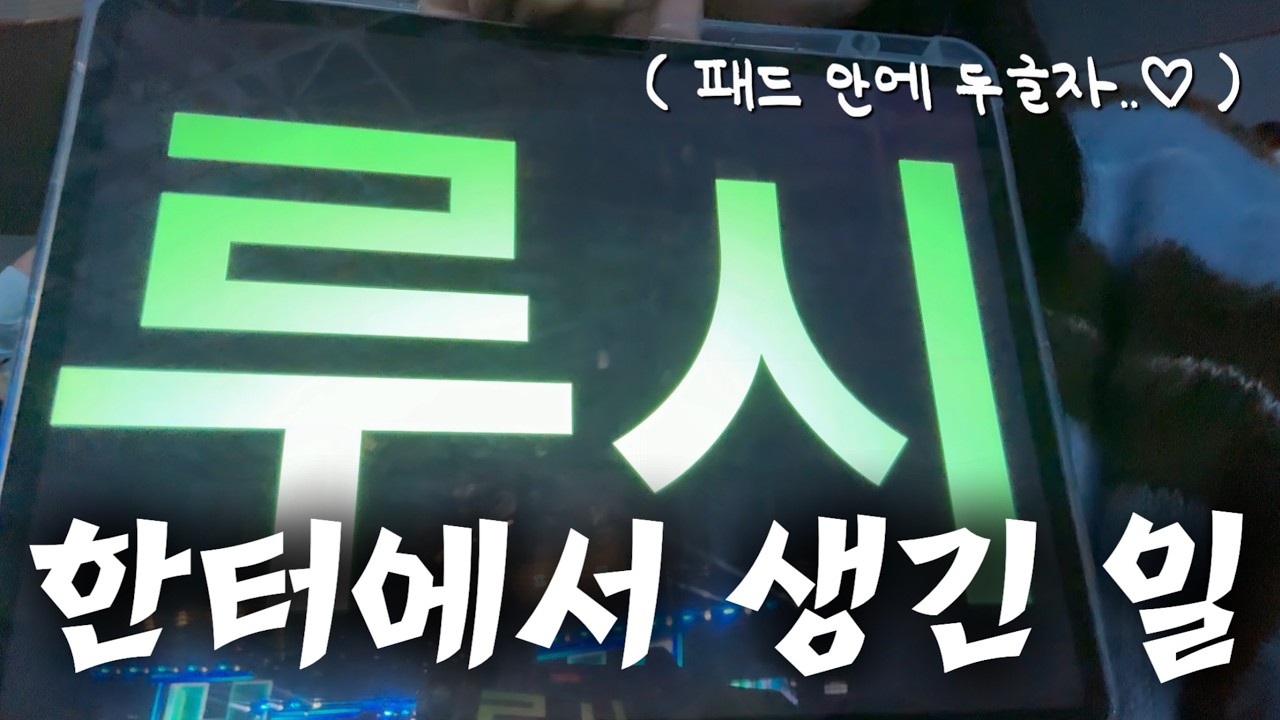 초콜릿 들고 공연장 주변을 배회하는 수상한 사람🍫 (feat.한터뮤직어워즈) | K-POP 오따쿠 심장 뛰게 하는 밴드🥁