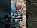 1人、被災地を歩き続けた僧侶#youtubeshorts #shorts #東日本大震災#感動