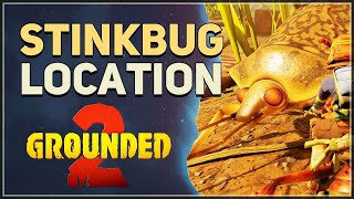 Stinkbug Location Grounded 2