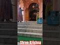 hore krishna #trending #viral