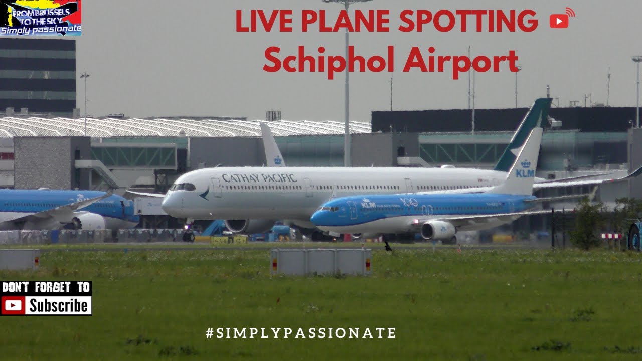 Schiphol Airport Live Plane Spotting - 05.11.2019 PART I