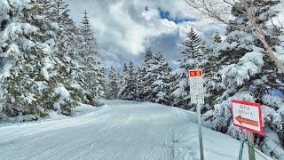 2023 Shiga Kogen - Skiing in Japan 🇯🇵