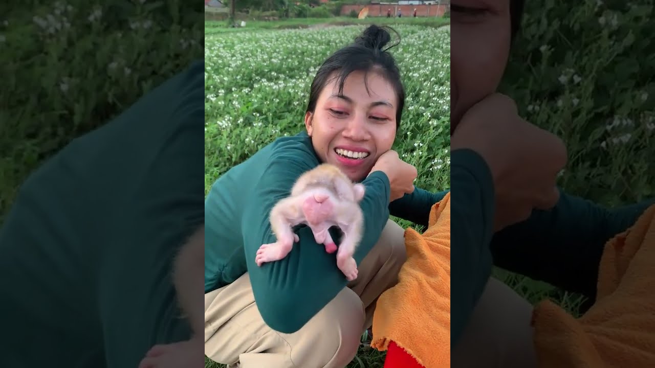 Calm Outdoor Feeding Time with a Newborn Baby Monkey 🌿🐵