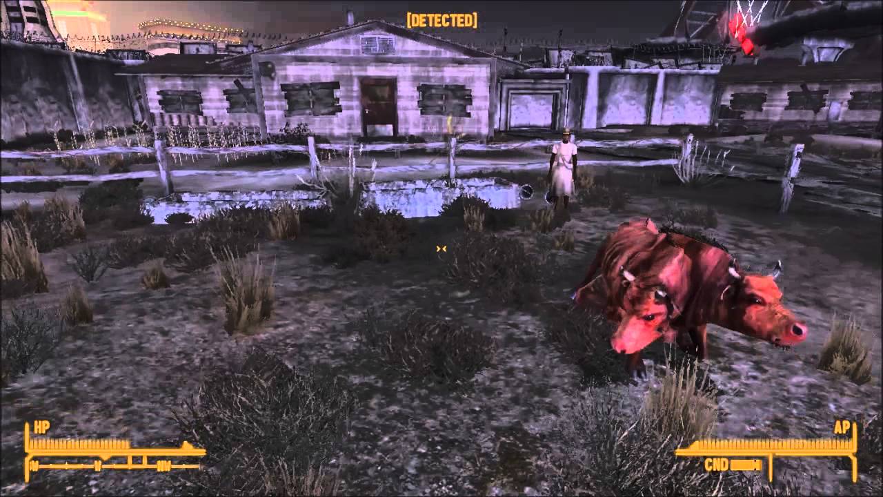 Pushing Brahmin over on Fallout: New Vegas - YouTube