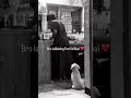 golden retriver lovers hy🩷❤️