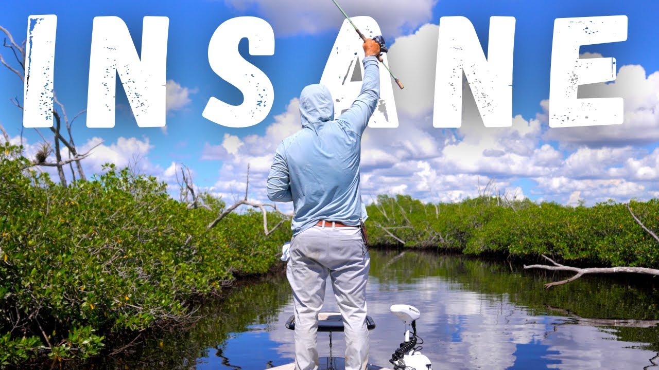 My Most Insane Trip of the Year…