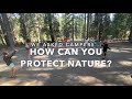 Forest Explorers Camp 2020: How can you protect nature?