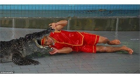 Khám phá Thái Lan: Biểu diễn xiếc cá sấu độc nhất vô nhị tại PATTAYA - Thái Lan