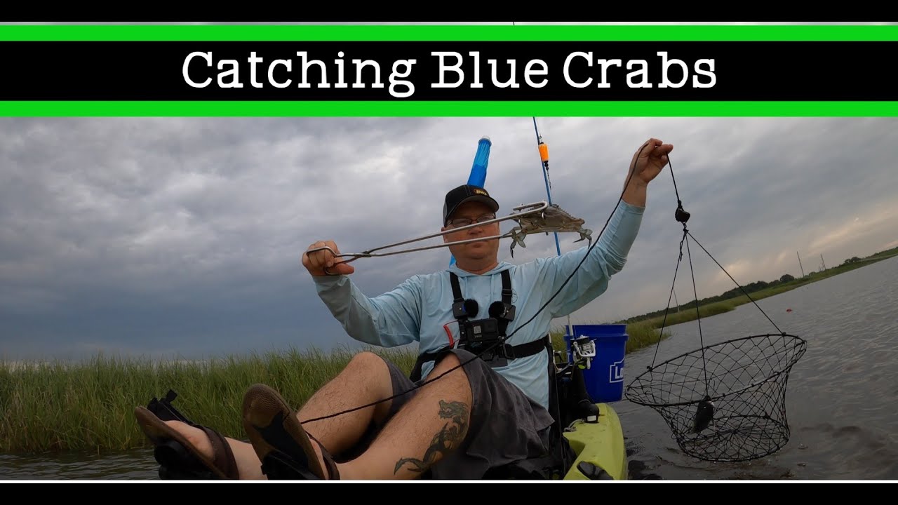 Catching Blue Crabs in a kayak with nets Louisiana YouTube