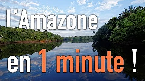 Quelle est la taille du fleuve Amazone ?