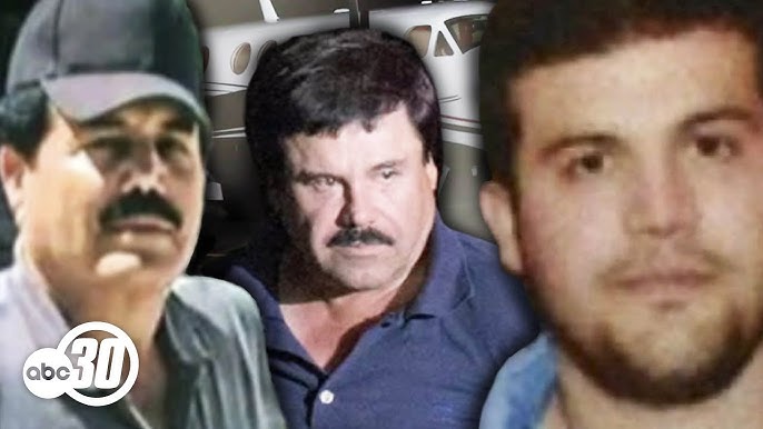 El Chapo's son tricked Sinaloa cartel leader 'El Mayo' Zambada into being  captured, officials say - YouTube