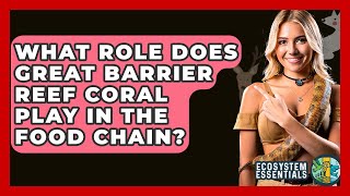 What Role Does Great Barrier Reef Coral Play In The Food Chain? - Ecosystem Essentials What Role Does Great Barrier Reef Coral Play In The Food Chain? - Ecosystem Essentials
