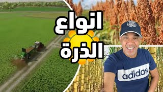 زراعة الذرة الدقيقة farming simulator 22