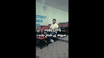 زاغان خورند میوه ی شاخ بلند را دکلمه اعتراضی 