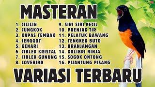 🔴 MEWAH VARIASI BARU‼️ MASTERAN MURAI BATU ISIAN ISTIMEWA
