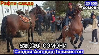 Асп дар Молбозори Хулбук рафти савдо, Асп бозора девона кард, Лошадь, 29 сентября 2023 г.