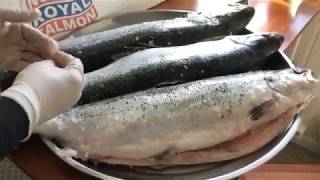 طريقة تقطيع وشوي سمك السلمون /السلامون/السالمون . Salmon