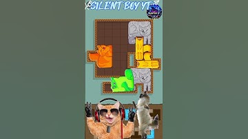 puzzle cat #shorts #gaming #youtubeshorts #gamer #shortvideo #short #puzzle cat