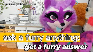 FURRY answers YOUR QUESTIONS #fursuit