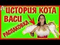 ИСТОРИЯ ПОЯВЛЕНИЯ КОТА ВАСИ / РАСПАКОВКА / ПОСЫЛКА ОТ ПОДПИСЧИКА / ХОМКИ РАДЫ ПОСЫЛКЕ / /АЛИСА ИЗИ