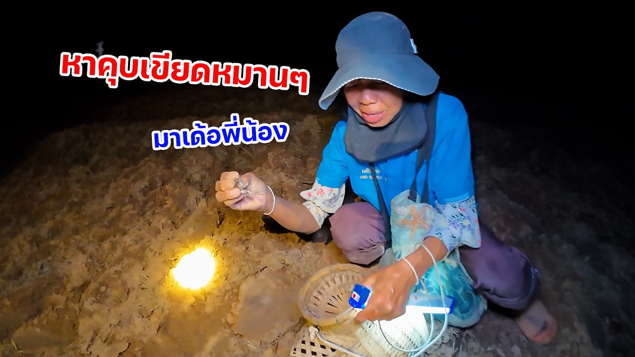 ตกค่ำคืน ออกลุยเลากลางทุ่งนา หาคุบเขียดไต่เขียด