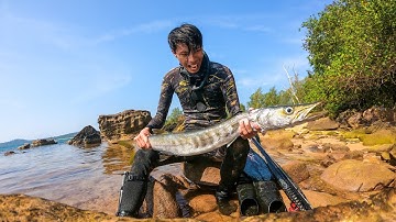 Spearfishing BARRACUDA Catchncook with SECRET SAUCE. Bắn và ăn CÁ NHỒNG với SỐT ĐẶC BIỆT.