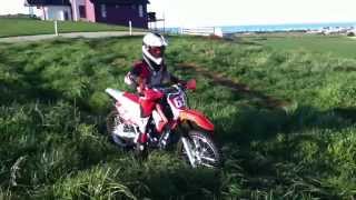 Paddock Basher