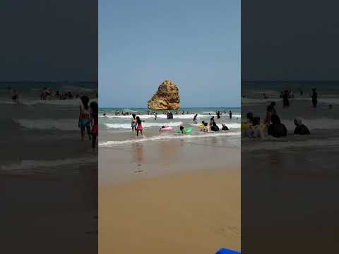 بورسي تلمسان   