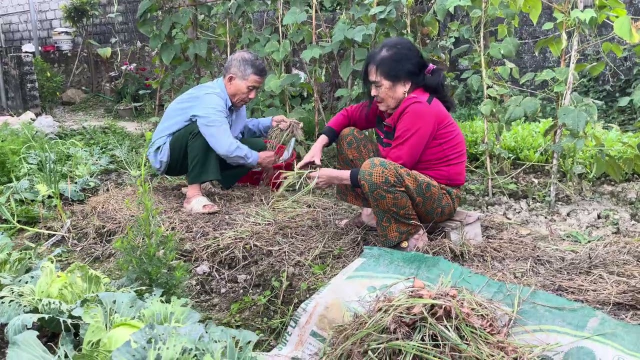 ngày 15 tháng 2, 2026