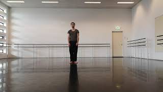 Download Lagu Maciej Kuzminski  - Audition Felix Feenstra MP3