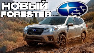 видео: ЦЕНЫ НА НОВЫЙ FORESTER НИЖЕ НЕ КУДА! / Subaru Forester от 2.000.000 Рублей! картинка: ЦЕНЫ НА НОВЫЙ FORESTER НИЖЕ НЕ КУДА! / Subaru Forester от 2.000.000 Рублей!