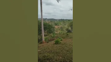 MUWE MACHO M23 YAANZA TAFUTA NJIA YA KISANGANI Viralvideo Goma Africa Love Motivation Soldier 