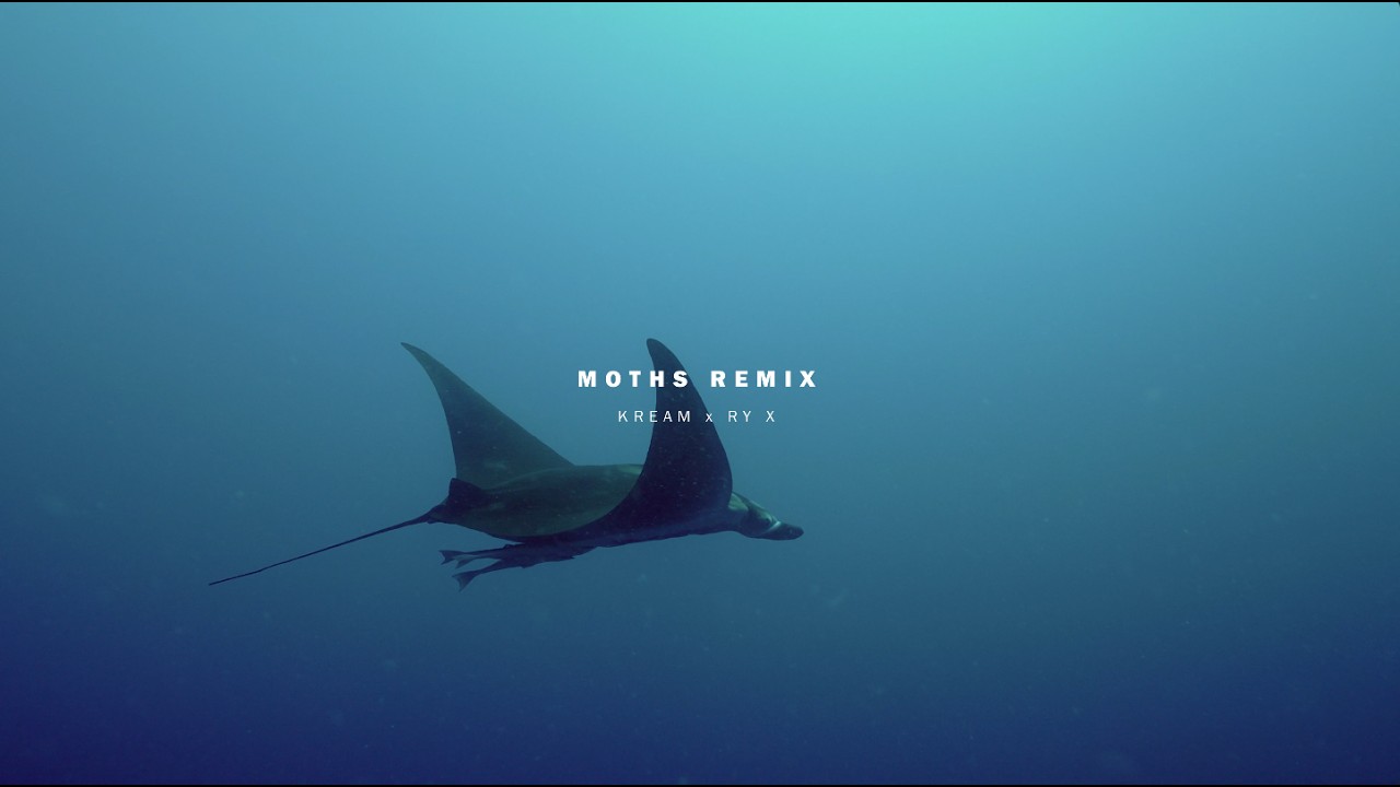 RY X - Moths (KREAM Remix)