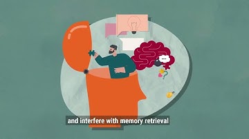 The Mendez Principles on Effective Interviewing and Interrogation