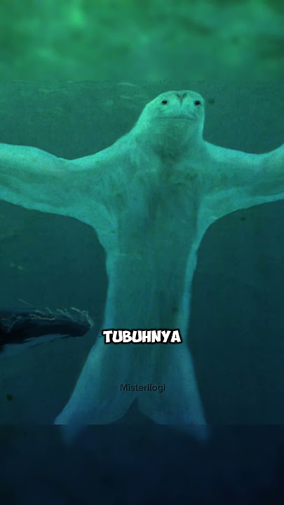 Mysterious creatures that were discovered by Japanese sailors in Antarctica #antarctica #ningen