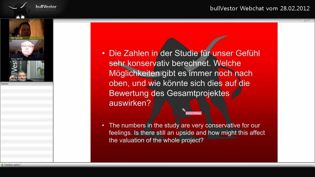 bullVestor Webchat vom 28.02.2012
