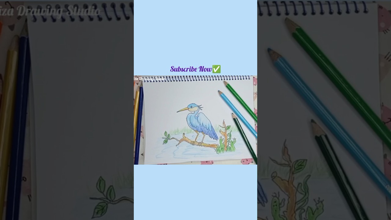 Heron Bird Drawing 