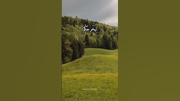 هو الذي يصلي عليكم وملائكته | #القرآن_الكريم #تلاوات #صلوا_على_النبي #اليمن # #السعودية