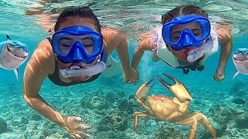 Ruby and Bonnie Brave Sisters Overcome Fear of the Ocean by Snorkeling