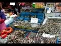 Mercado de pescado y marisco de Noryangjin (Seúl, Corea)