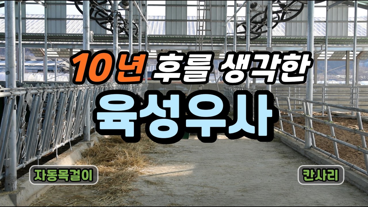 [축사TV-230-5편] 273평 육성우사 l 최대 54두 입식 가능 l 6칸 자동목걸이 l 청년창업지원자금 l 축사 완공