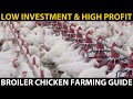 BROILER CHICKEN FARMING | Complete Information on Broiler Chicken Farming in India | Beginners Guide