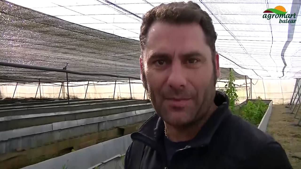 Caragol Bover maig 2016